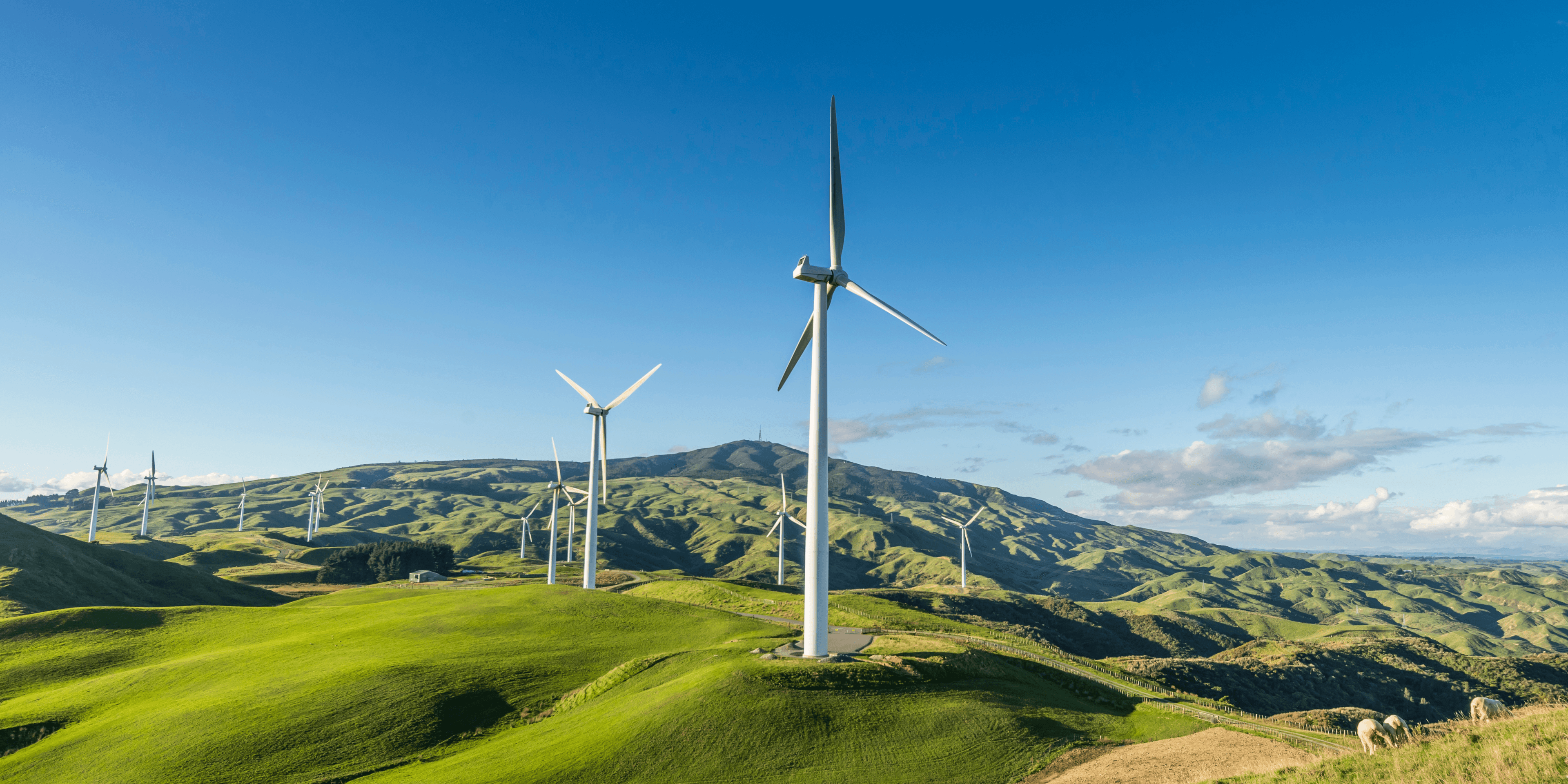 Image of windmills in New Zealand