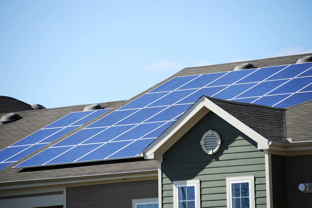 Solar buyback rates — Powerswitch NZ